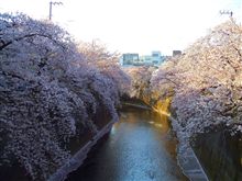 昨日の早朝 昨日の早朝