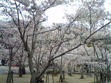 平日なのに、、、 (私のつぶやき、、、 シロー) 平日なのに、、、 (私のつぶやき、、、 シロー)