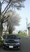チョットだけ花見σ(^_^;)? チョットだけ花見σ(^_^;)?