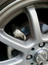 ハイパミに向けて洗車 ハイパミに向けて洗車