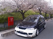 多いやん! 多いやん!