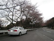 先週末のターンパイクでの桜トンネル報告ヾ(@^▽^@)ノ 先週末のターンパイクでの桜トンネル報告ヾ(@^▽^@)ノ