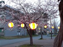 お花見♪♪ お花見♪♪