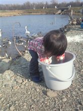 健やかな成長を願って・・・・ 健やかな成長を願って・・・・