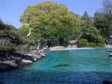 天王寺動物園 天王寺動物園