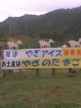やぎの○○○? やぎの○○○?