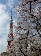 I.N.さんは同い年! I.N.さんは同い年!