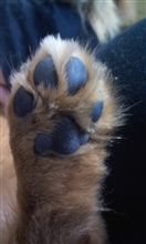 にゅう☆ にゅう☆
