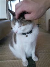 扱い方注意 扱い方注意