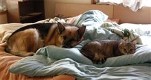 ふたり仲良く、同じポーズ。 ふたり仲良く、同じポーズ。