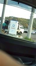 電気スタンド( ´∀`)? 電気スタンド( ´∀`)?