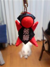 いよいよセリカDAYだ! いよいよセリカDAYだ!