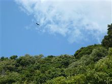 晴れ、休日、そしてコペン!! 晴れ、休日、そしてコペン!!