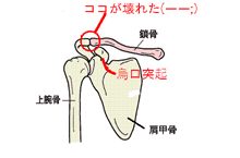 今日はバドの日・・・ 今日はバドの日・・・