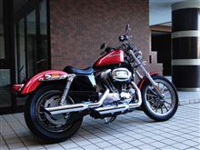スポーツスター・カスタム1段落 スポーツスター・カスタム1段落