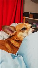 久々の暇人♪ 久々の暇人♪