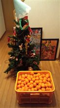 一足早いクリスマスプレゼント!? 一足早いクリスマスプレゼント!?
