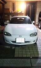 新しい相棒 新しい相棒