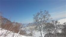生きています(^_^;) 生きています(^_^;)