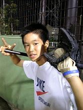 平成23年度春季東京都高等学校野球大会抽選会のお知らせ 平成23年度春季東京都高等学校野球大会抽選会のお知らせ