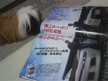 私と・・・しませんか?(*´ρ`*) 私と・・・しませんか?(*´ρ`*)