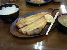 巨大魚専門店おはよう堂で巨大ホッケを見た 巨大魚専門店おはよう堂で巨大ホッケを見た
