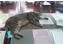 ネタが無ければゴマ頼りw ネタが無ければゴマ頼りw