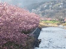 おはようございま~す♪ ここはどこ? おはようございま~す♪ ここはどこ?