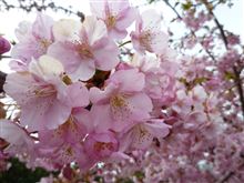 仕事があるということ。 仕事があるということ。