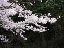 ムーそろそろ温厚な僕も怒っちゃうお(^ω^) ムーそろそろ温厚な僕も怒っちゃうお(^ω^)