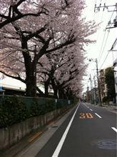 TOKYO TOKYO