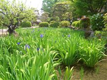徒歩1時間+α 徒歩1時間+α