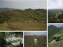 竜ヶ岳 竜ヶ岳