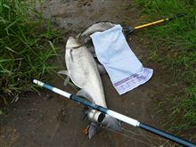 魚釣り~ 魚釣り~