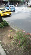 まさかの・・近所で黄色FDに遭遇!! まさかの・・近所で黄色FDに遭遇!!