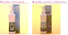粃糠性(ひこうせい)脱毛症 粃糠性(ひこうせい)脱毛症