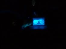 ひ~いぃ~ ひ~いぃ~