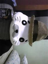 今日は暑くなかったけど… 今日は暑くなかったけど…