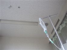 見知らぬ、天井 見知らぬ、天井
