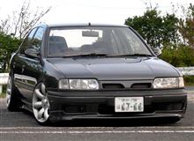 独特 Primera 独特 Primera
