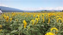 山梨県 のち 長野県 ドライブ 山梨県 のち 長野県 ドライブ