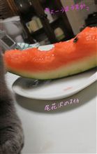 尾花沢のスイカはうまいのょ 尾花沢のスイカはうまいのょ