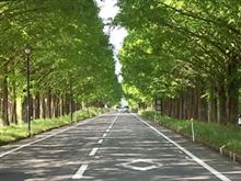 オープンカー乗りについて考える オープンカー乗りについて考える