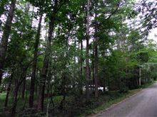 夏休みはこんな所に一週間いました 夏休みはこんな所に一週間いました