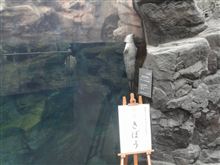 福島1日目、追記あり 福島1日目、追記あり