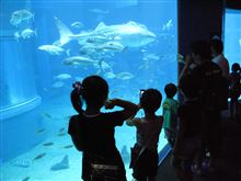 海遊館へ 海遊館へ