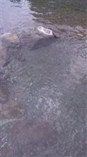 最後の… 最後の…