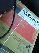 新しいパートナーです♪ 新しいパートナーです♪