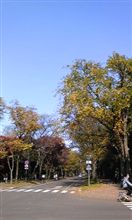 北大巡り 北大巡り