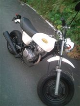 新しい… 新しい…